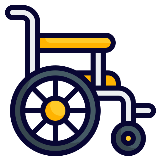 Wheel Chair Assistance